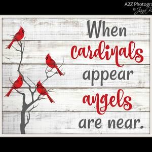 Meet your Posher, Maureen